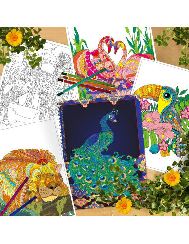 Juego de 3 Libros para Colorear Adultos Kalysky - Relajación