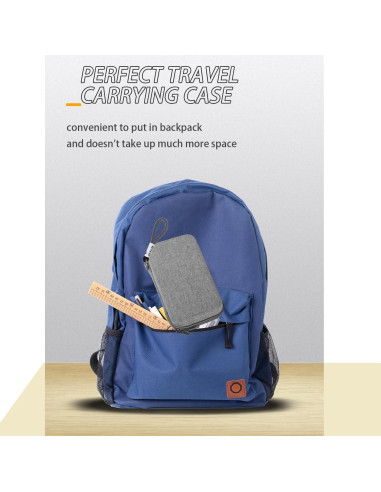 Funda de Viaje Dura SANXIULY para Irrigador Dental SYNHOPE Gris