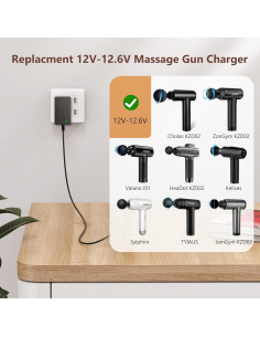 Cargador 12V-12.6V 1A GnoTis para Pistolas de Masaje 2