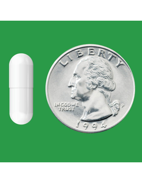 Probiótico Diario Amazon Basics 10 Mil Millones 60 Cápsulas Probiótico Diario Amazon Basics 10 Mil Millones 60 Cápsulas