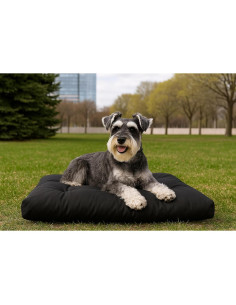 Cama para Perros Sleepy Howl-O Pequeña 61x46 cm Lavable 2