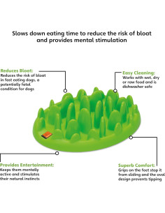 Comedero Interactivo Lento Grande Compañía de Animales 2