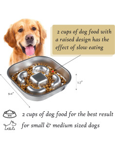 Cuenco de Alimentación Lenta Acero Inoxidable 2 Tazas para Perros 2