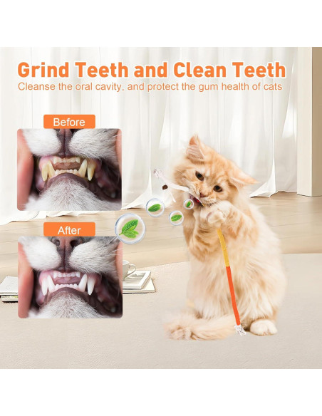 3 Juguetes para Gatos de Cuerda TEAWOO 70 cm Catnip