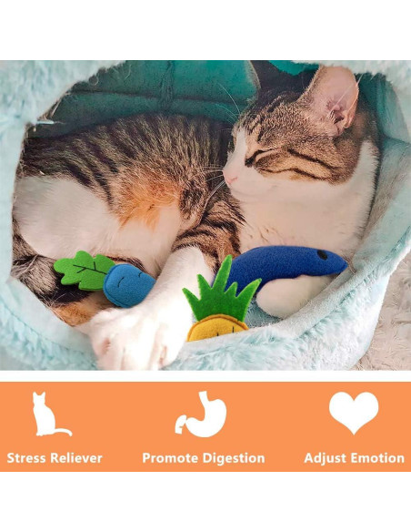 Juguetes de Catnip AWOOF para Gatos - Paquete de 6 Interactivos