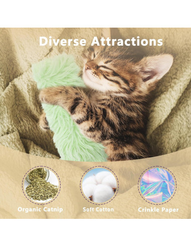 Paquete de 3 Juguetes de Hierba Gatera Maiiu - Suaves y Coloridos