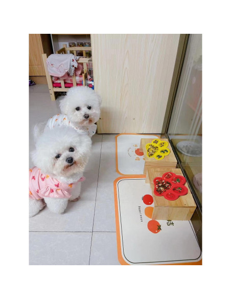 Alfombrilla para Lamer Perros Mycicy Rojo 17.78cm Antideslizante