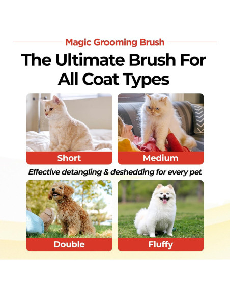 Cepillo Mágico JAYU PET para Gatos y Perros - Autolimpieza