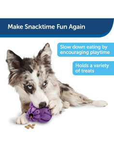 Juguete Interactivo para Perros PetSafe Busy Buddy Barnacle Mediano 2