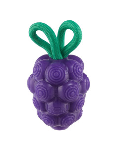Juguete Masticable Dental Outward Hound Uvas 16cm para Perros