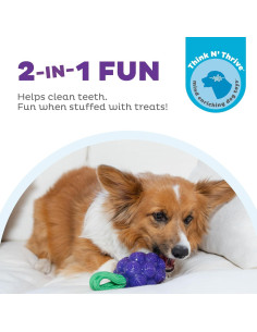 Juguete Masticable Dental Outward Hound Uvas 16cm para Perros 2
