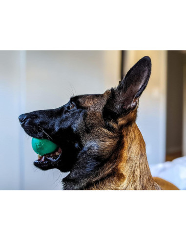 Pelotas para Perros Chew King - Caucho Natural 6.35 cm