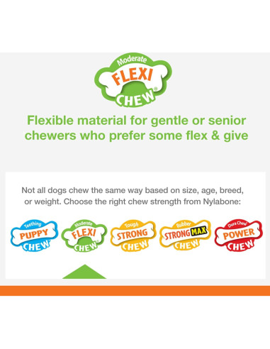 Juguete Flexi Chew Nylabone para Perros Mediano Sabor Pollo