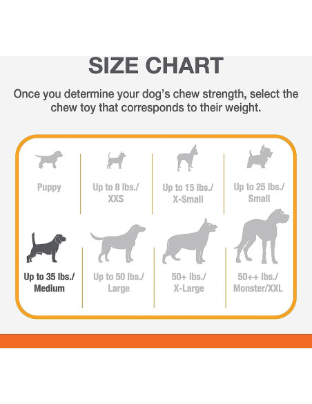 Juguete Flexi Chew Nylabone para Perros Mediano Sabor Pollo