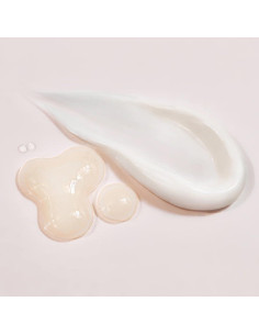 Suero Nocturno AHA Amala 30 ml - Renueva Textura y Suaviza Arrugas 2