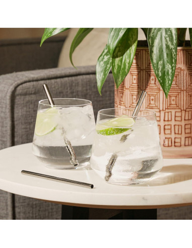 Popotes de Acero Inoxidable Viski Set de 6 Reutilizables 12.7 cm