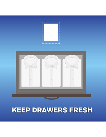 Hojas de Suavizante de Tela ARM & HAMMER Lluvia de Montaña 144ct