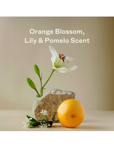 Hojas de Detergente para Ropa Skipper - 120 Hojas (240 Cargas)