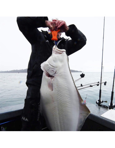 Balanza Digital KastKing 50kg Resistente al Agua con Regla