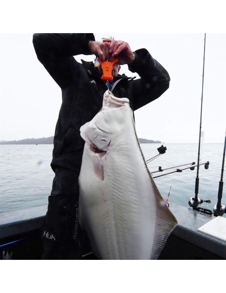 Balanza Digital KastKing 50kg Resistente al Agua con Regla