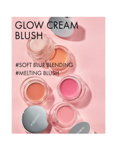 Rubor Crema Brillante Vidivici 04 Leche de Peonía 6g 2