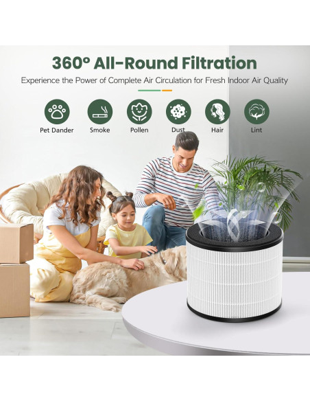 Paquete de 2 Filtros de Reemplazo Isinlive para Coway Airmega 100