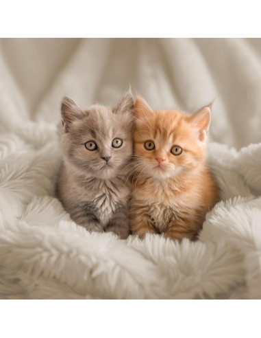 Manta Reversible Ultra Suave Hyde Lane 50x60 Beige/Kahki