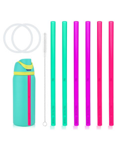 6 Popotes Reemplazo Owala FreeSip 24/32 oz + Gaskets y Cepillo