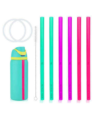 6 Popotes Reemplazo Owala FreeSip 24/32 oz + Gaskets y Cepillo