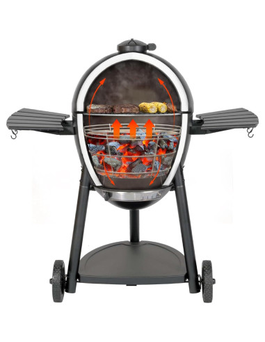 Caja de Fuego de Carbón Onlyfire para Parrilla Char-Griller