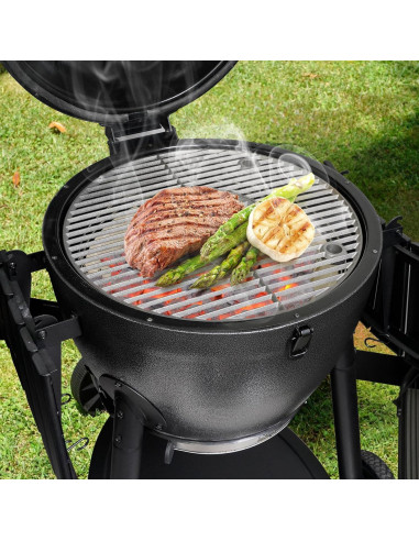 Caja de Fuego de Carbón Onlyfire para Parrilla Char-Griller