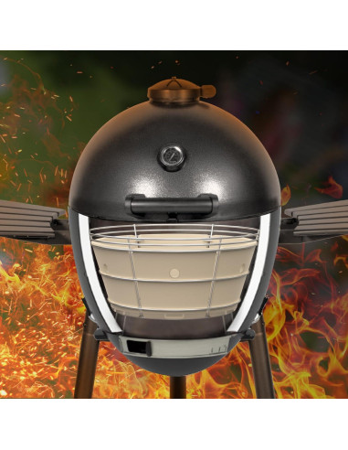 Caja de Fuego de Carbón Onlyfire para Parrilla Char-Griller