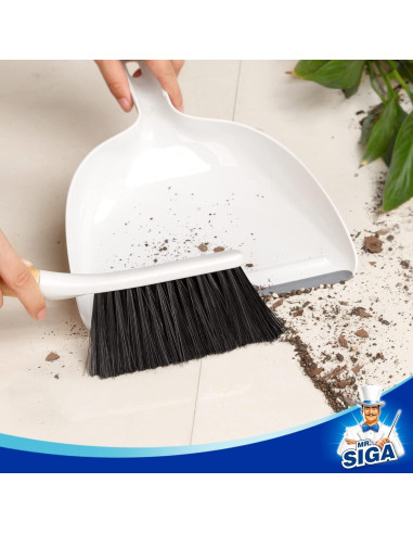 Conjunto de Recogedor y Cepillo MR.SIGA con Mango de Bambú