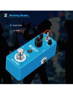 Pedal de Efecto de Guitarra Rowin Bluesy Vintage 9V 2