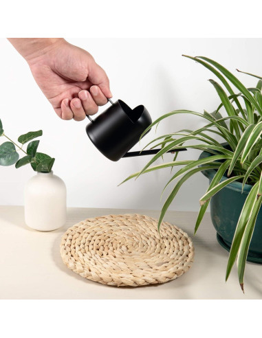 Regadera Mini IMEEA Acero Inoxidable 300ml Bonsáis