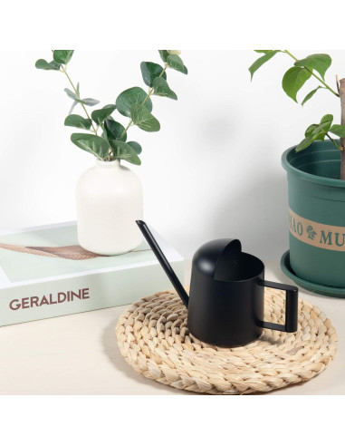 Regadera Mini IMEEA Acero Inoxidable 300ml Bonsáis