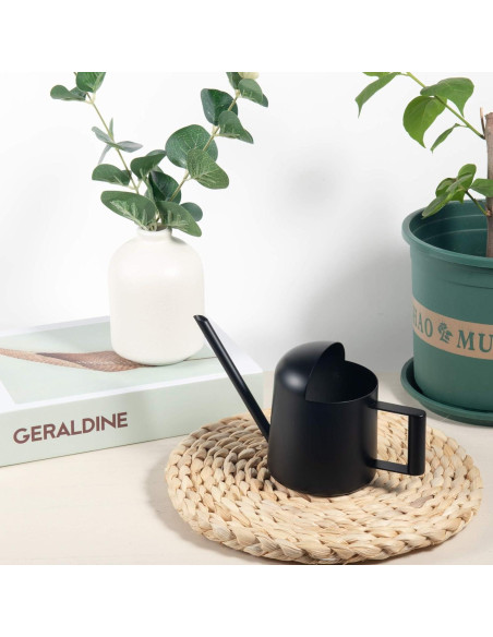 Regadera Mini IMEEA Acero Inoxidable 300ml Bonsáis