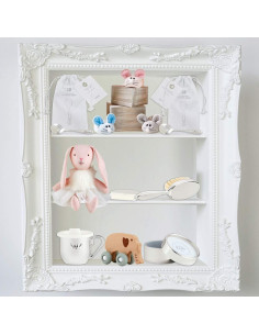 Juego de Cepillo y Peine Conmemorativo Stephan Baby Plata 2