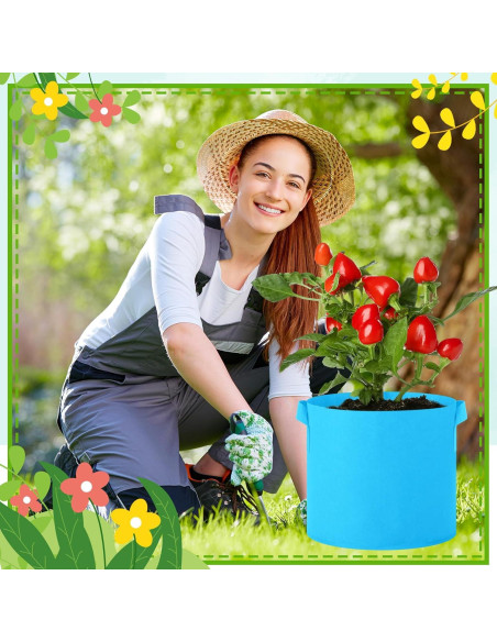 Paquete de 20 Bolsas de Crecimiento Ziliny 19L Multicolor