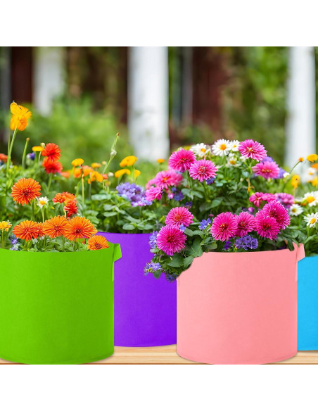 Paquete de 20 Bolsas de Crecimiento Ziliny 19L Multicolor