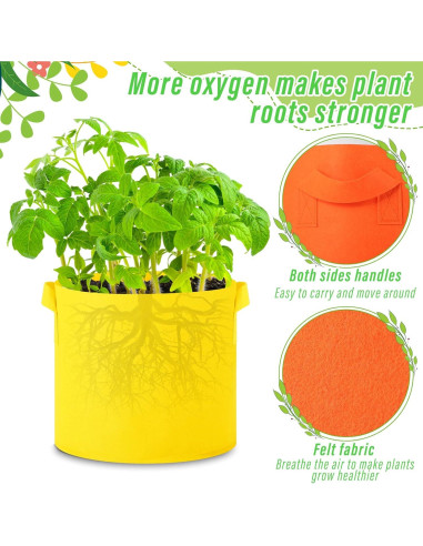 Paquete de 20 Bolsas de Crecimiento Ziliny 19L Multicolor