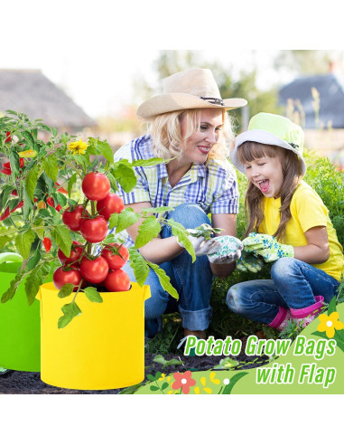 Paquete de 20 Bolsas de Crecimiento Ziliny 19L Multicolor