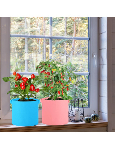 Paquete de 20 Bolsas de Crecimiento Ziliny 19L Multicolor