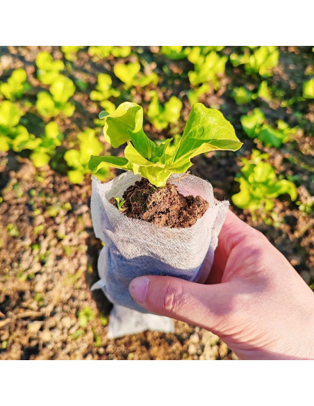 Bolsas de Vivero TIHOOD 300PCS 10x12cm Tela No Tejida