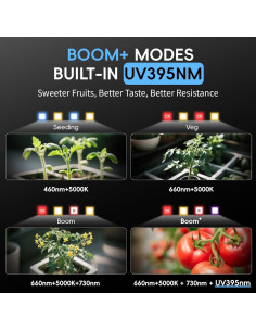 Luz de Crecimiento LED URBZUE 60W Espectro Completo 4 Modos 2