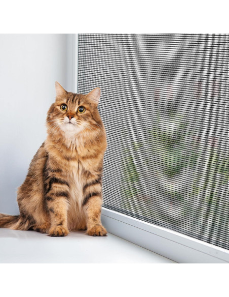 Kit de Pantalla para Mascotas Yoochee 36x100 cm Negro