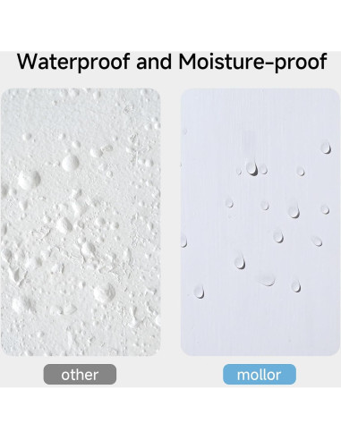 Kit de Reparación de Paredes Mollor 1kg - Masilla y Raspador