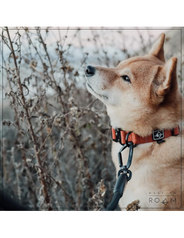 Correa para Perros MADE TO ROAM 1.22m Ultra Suave con Mosquetón
