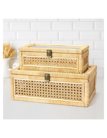 Juego de 2 Cajas Decorativas de Ratán Dendrovia con Tapa