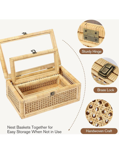 Juego de 2 Cajas Decorativas de Ratán Dendrovia con Tapa
